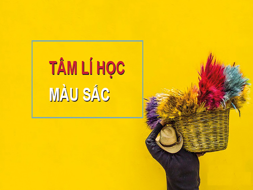 chạy quảng cáo, quảng cáo maketing hiệu quả, dịch vụ chăm sóc website, quảng cáo trên facebook, quảng cáo Website, chạy quảng cáo Website, marketing online